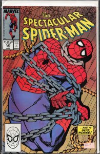 The Spectacular Spider-Man #145 (1988) Spider-Man