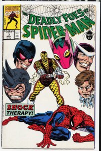 Deadly Foes of Spider-Man #3 (1991) Spider-Man