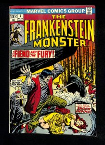 Frankenstein #7
