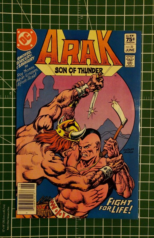 Arak, Son of Thunder #22 (1983)