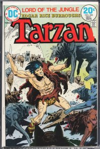 Edgar Rice Burroughs' Tarzan #226 (1973)