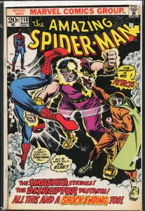 The Amazing Spider-Man #118 (1973) Spider-Man