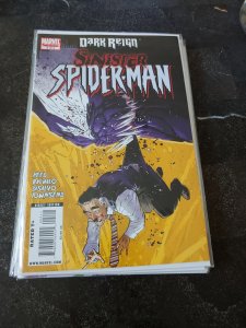 Dark Reign: Sinister Spider-Man #2 (2009)