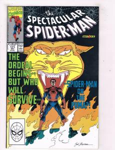 The Spectacular Spider-Man #171 VF/NM Marvel Comics Comic Book Dec 1990 DE45