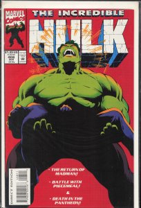 The Incredible Hulk #408 (1993) Hulk