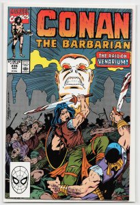 Conan the Barbarian #235 (1990) Conan