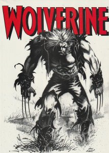 Wolverine #180 (2002)