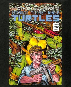 Teenage Mutant Ninja Turtles #12