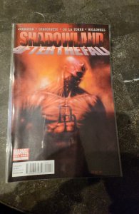 Shadowland: After the Fall (2011)