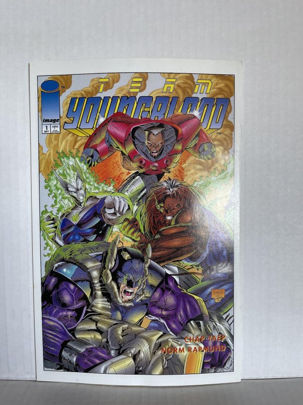 Youngblood Strikefile #4 (1993)  Unlimited Combined Shipping