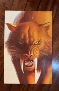 Black Cat #2 (Alex Ross) 2025