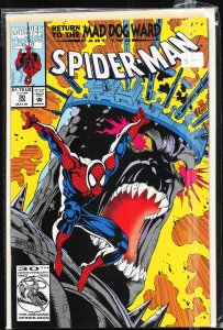 Spider-Man #30 (1993) Spider-Man