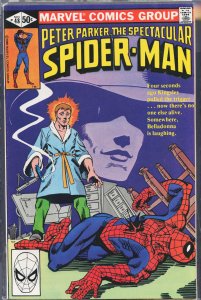 The Spectacular Spider-Man #48 (1980) Spider-Man