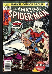 The Amazing Spider-Man #163 (1976)