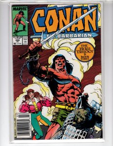Conan the Barbarian #208 (1988)  - [NSC•ECA7]
