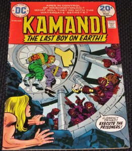 Kamandi, The Last Boy on Earth #15 (1974)