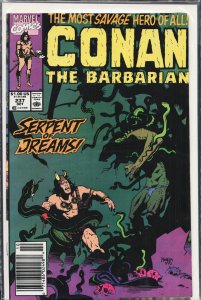 Conan the Barbarian #237 (1990) Conan