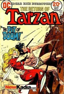 Tarzan (1972 series) #223, Fair+ (Stock photo)