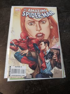 The Amazing Spider-Man #604 (2009)
