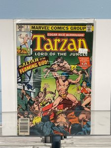 Tarzan #3 (1977)