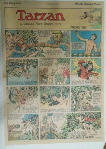 Tarzan Sunday Page #435 Burne Hogarth from 7/16/1939 Very Rare Full Page Size