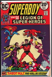 Superboy #197 (1973)
