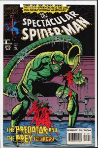 The Spectacular Spider-Man #215 (1994) Spider-Man