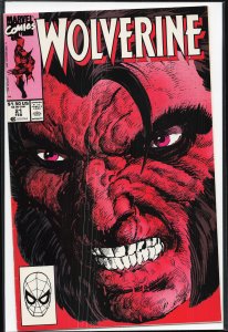 Wolverine #21 (1990) Wolverine