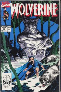 Wolverine #25 (1990) Wolverine