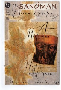 The Sandman #19 (1990)