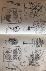 Trees of the United States, 1951,20 types are detailed