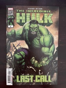 The Incredible Hulk Last Call #1 Marvel 2019 NM 9.4