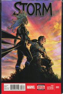 Storm #3 (2014) Storm