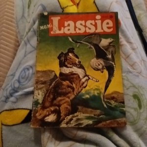 M-G-M's LASSIE 4 Golden age Dell Comics 1951 Morris Gollub Painted Cover tv show