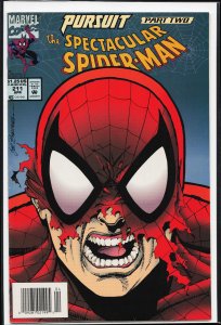 The Spectacular Spider-Man #211 (1994) Spider-Man