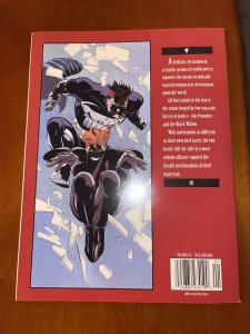 Marvel's Punisher & Black Widow: Spinning Doomsday's Web Soft Cover GN JH6 