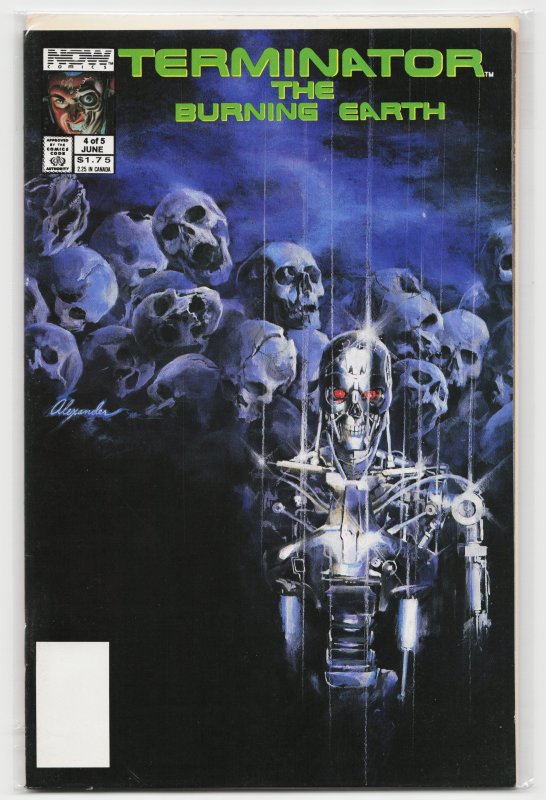 The Terminator: The Burning Earth #4 (1990) The Terminator