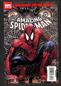 The Amazing Spider-Man #553 (2008)