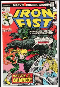 Iron Fist #2 (1975) Iron Fist