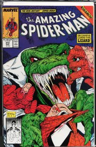 The Amazing Spider-Man #313 (1989) Spider-Man