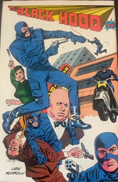 The Black Hood #1 (1983)