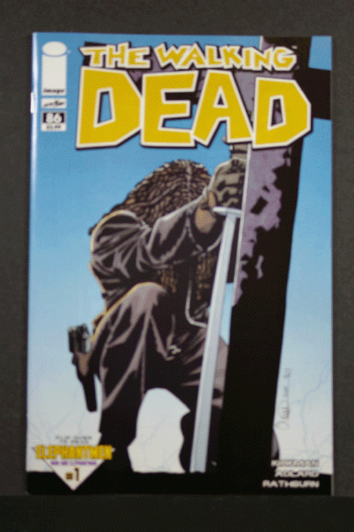 The Walking Dead #86