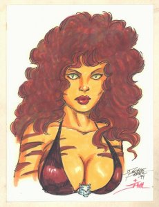 Tigra Colored Bust Commission - Signed art by George Perez