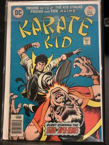 Karate Kid #6 (1977)