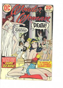 Wonder Woman #207 (1973)