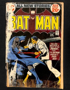 Batman #243 Ra's Al Ghul! Neal Adams Cover! 1st Lazarus Pit!