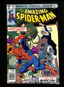 Amazing Spider-Man #204 Black Cat!
