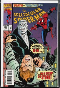 The Spectacular Spider-Man #205 (1993) Spider-Man