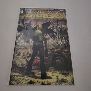 WALKING DEAD 150 151 152 153 154 155 156 157 158 159 160 161 162 163 164 NM Lot