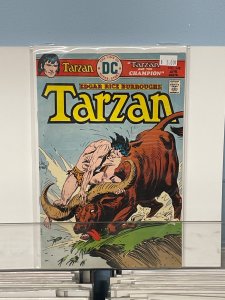 Edgar Rice Burroughs' Tarzan #248 (1976)